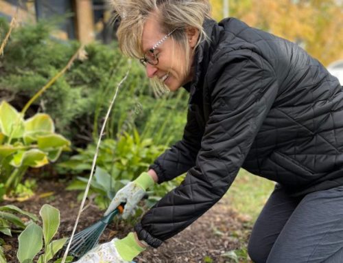 Gardening Modifications
