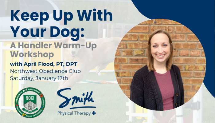 Dog Agility Handler Workshop